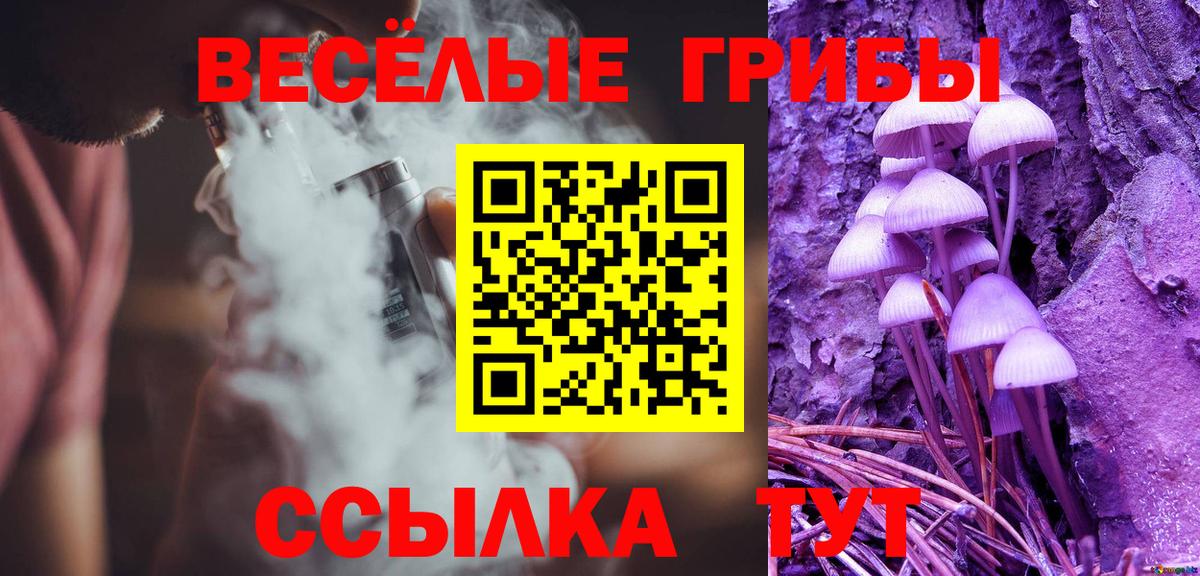 Псилоцибиновые грибы GOLDEN TEACHER Чебаркуль